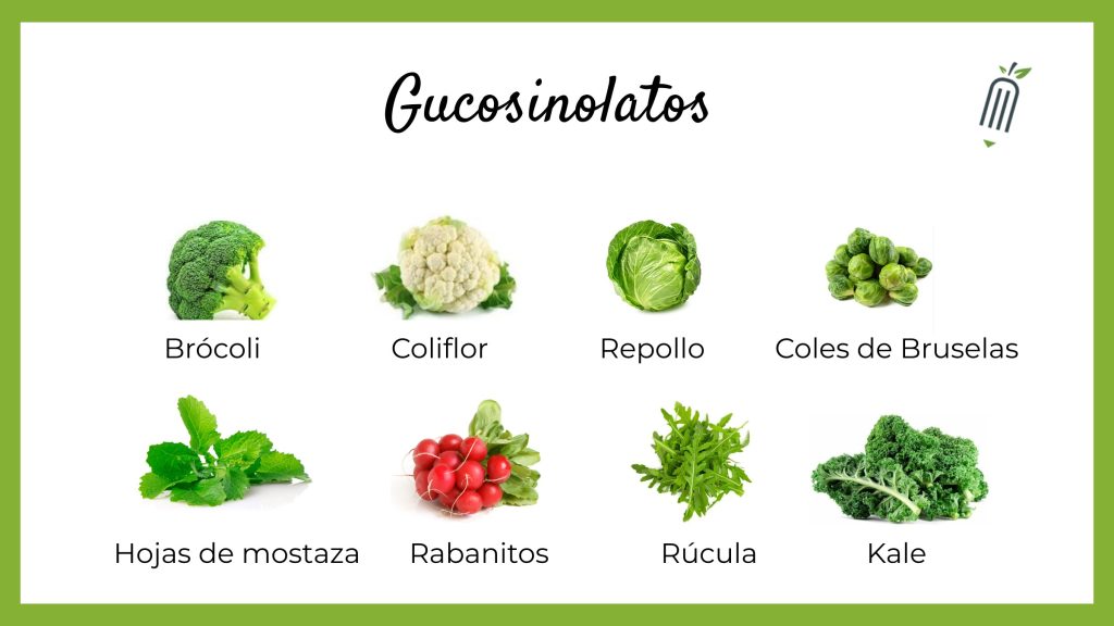 Un gráfico informativo mostrando una variedad de verduras crucíferas que son ricas en glucosinolatos. Las imágenes muestran alimentos saludables como brócoli, coliflor, repollo, coles de Bruselas, hojas de mostaza, rábanos rojos, rúcula y kale, todos conocidos por sus beneficios nutricionales relacionados con los glucosinolatos. Cada vegetal está claramente etiquetado y presentado de manera atractiva para promover una alimentación saludable.