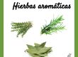 Recuadro blanco con márgenes verdes. Se ve un titulo que reza Hierbas aromáticas y se ven tres imágenes de tomillo, romero y laurel