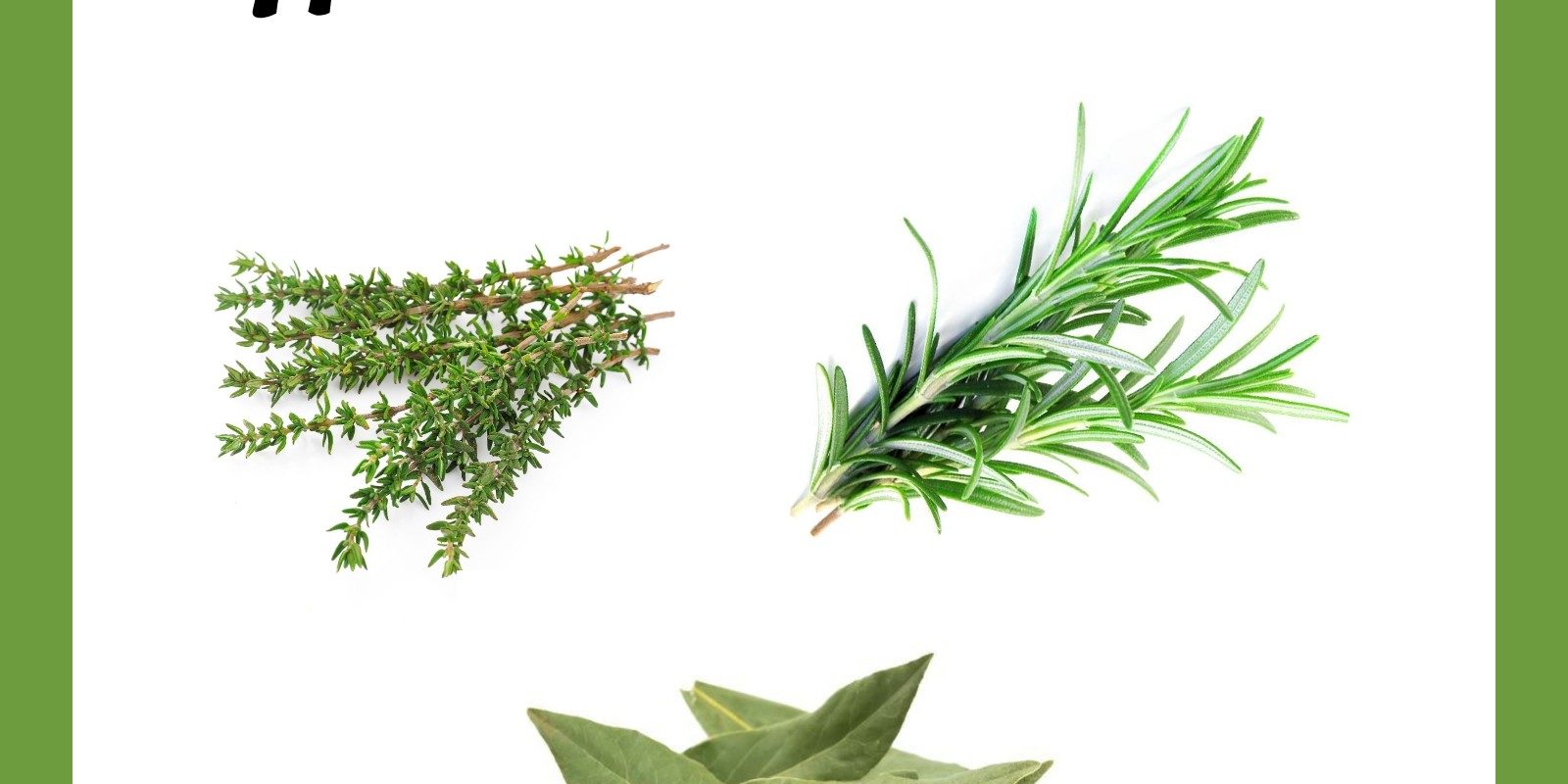Recuadro blanco con márgenes verdes. Se ve un titulo que reza Hierbas aromáticas y se ven tres imágenes de tomillo, romero y laurel