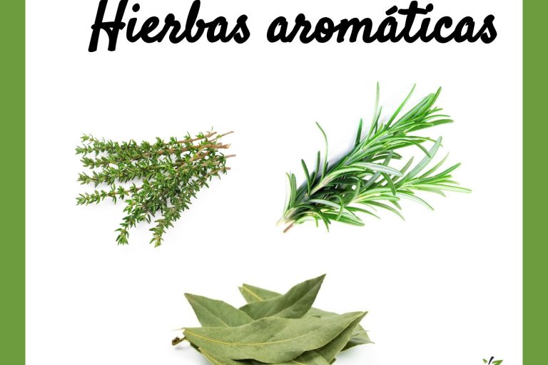 Recuadro blanco con márgenes verdes. Se ve un titulo que reza Hierbas aromáticas y se ven tres imágenes de tomillo, romero y laurel